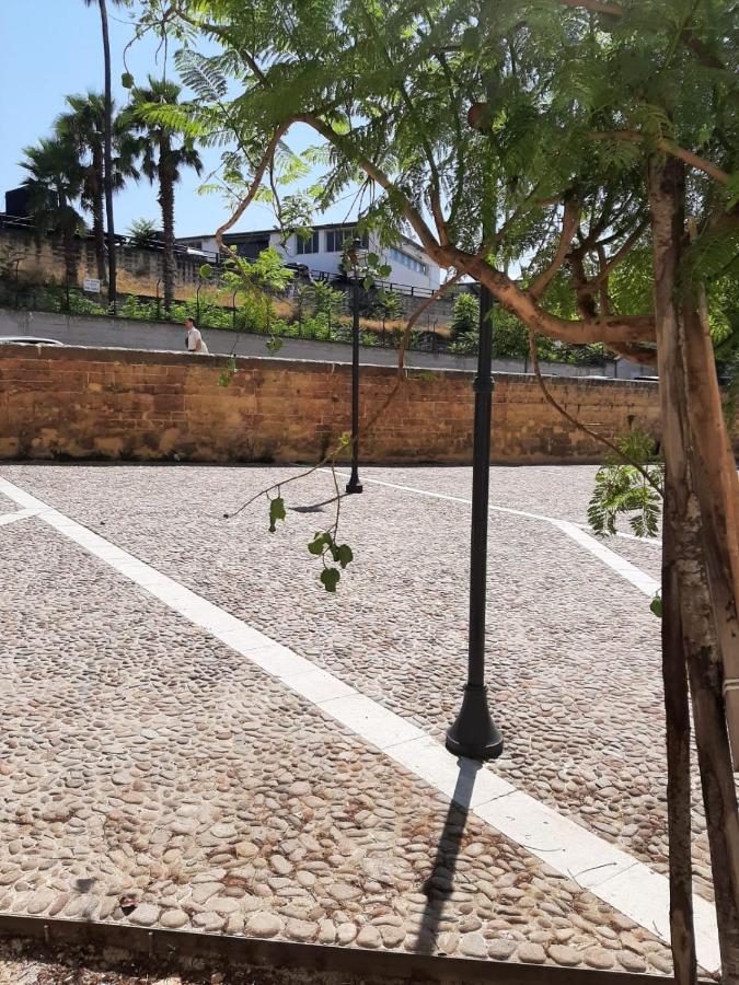 A Due Passi Dalla Cattedrale Lägenhet Palermo Exteriör bild